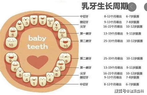 小朋友出大牙|宝宝长牙顺序图：多大开始长牙、几岁出齐？看你家娃出牙是否标准